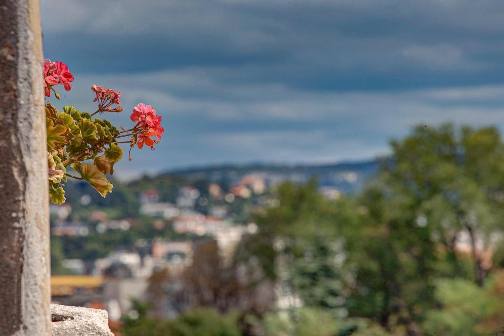 La Perla Di San Giusto * Trieste
